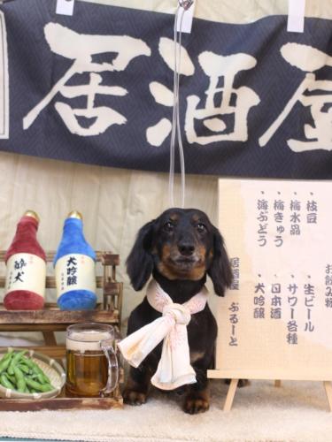 20240612ハルちゃん